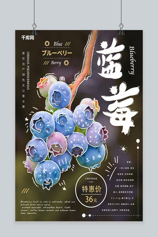 简约手绘风蓝莓水果美食海报