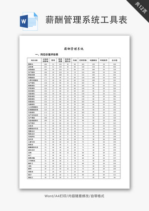 薪酬管理系统工具表Word文档