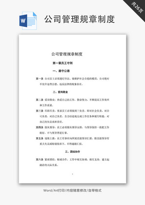 公司管理规章制度Word文档