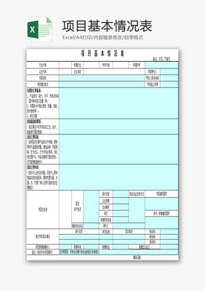 项目基本情况表EXCEL模板