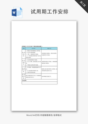 试用期工作安排Word文档