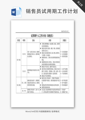 销售员试用期工作计划Word文档