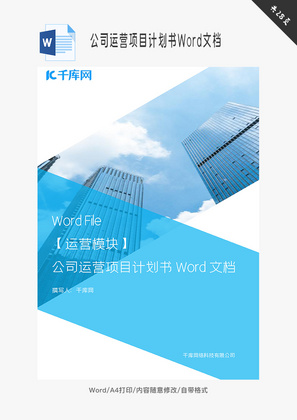 公司运营项目计划书Word文档