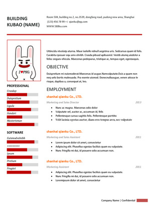 红色条纹背景英语通用简历模版