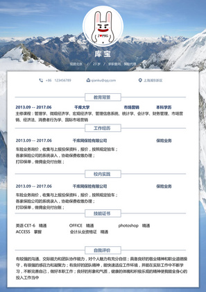 创意时尚雪山背景金融保险大学生毕业简历