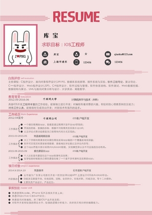 粉色线条创意风工程师岗位word简历