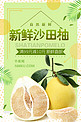 新鲜沙田柚绿色清新柚子秋季水果海报
