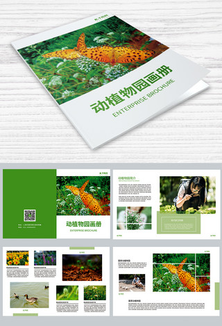 画册设计psd海报模板_简约绿色动植物园宣传画册设计PSD模板画册封面