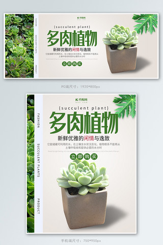 创意小清新风格多肉植物banner