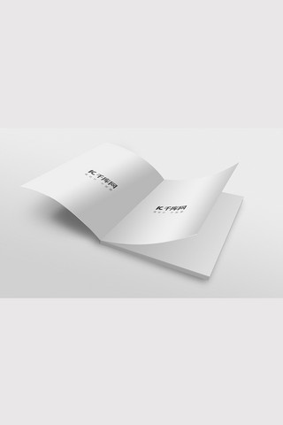 企业书籍翻开展示模板宣传册白色简约样机