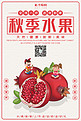 秋季水果石榴红色 白色小清新 卡通海报