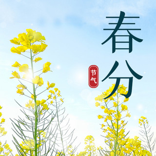 春分花蓝色简约公众号次图