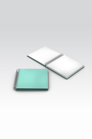 笔记本VI展示绿色大气样机