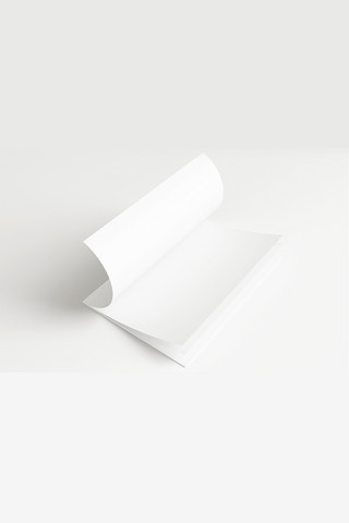 高档画册设计白色大气样机