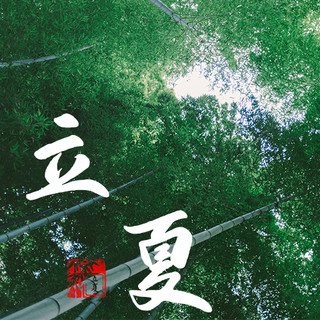 竹子海报模板_立夏绿竹绿色摄影风公众号次图