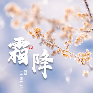 霜降雪花海报模板_霜降梦幻雪花紫色摄影风公众号次图