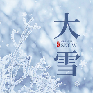 大雪海报模板_大雪冬天雪花冰晶植物蓝白色简约公众号次图