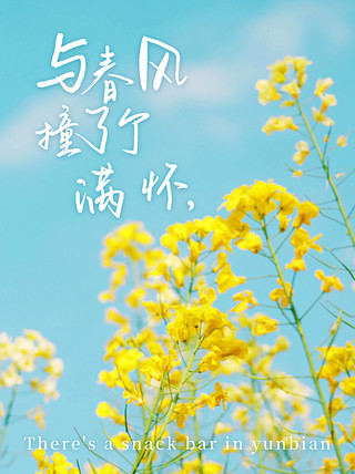 杂志海报模板_游玩日志油菜花蓝色黄色文艺小清新小红书