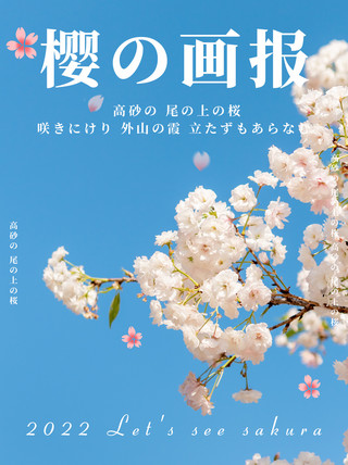 杂志海报模板_春日画报樱花蓝色粉色杂志风小红书