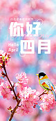 你好四月 4月你好樱花相思鸟春天粉色简约全屏海报