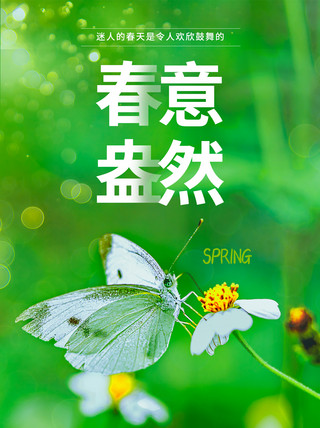 春意盎然蝴蝶绿色小清新小红书