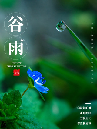 小花朵海报模板_谷雨花朵绿色简约小红书