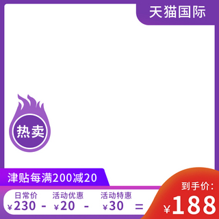 天猫国际热卖紫色简约主图图标