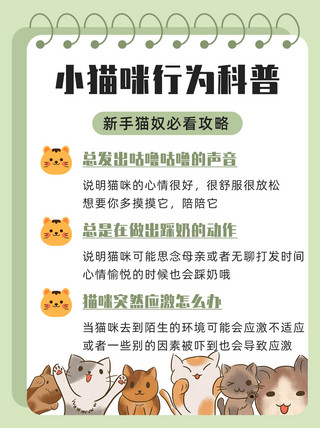 猫咪行为科普绿色简约卡通小红书配图