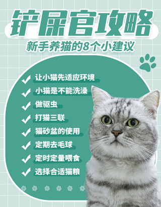 铲屎官攻略猫绿色创意小红书