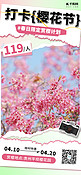春天赏樱季粉色简约旅游活动海报