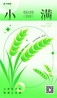 小满节气麦穗绿色弥散风海报平面海报设计