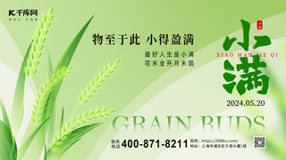 小满节气麦穗绿色简约横版海报手机海报设计