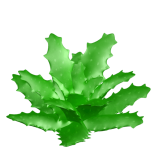 绿色清新芦荟装饰图案