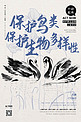 公益保护动物天鹅蓝色水墨风海报