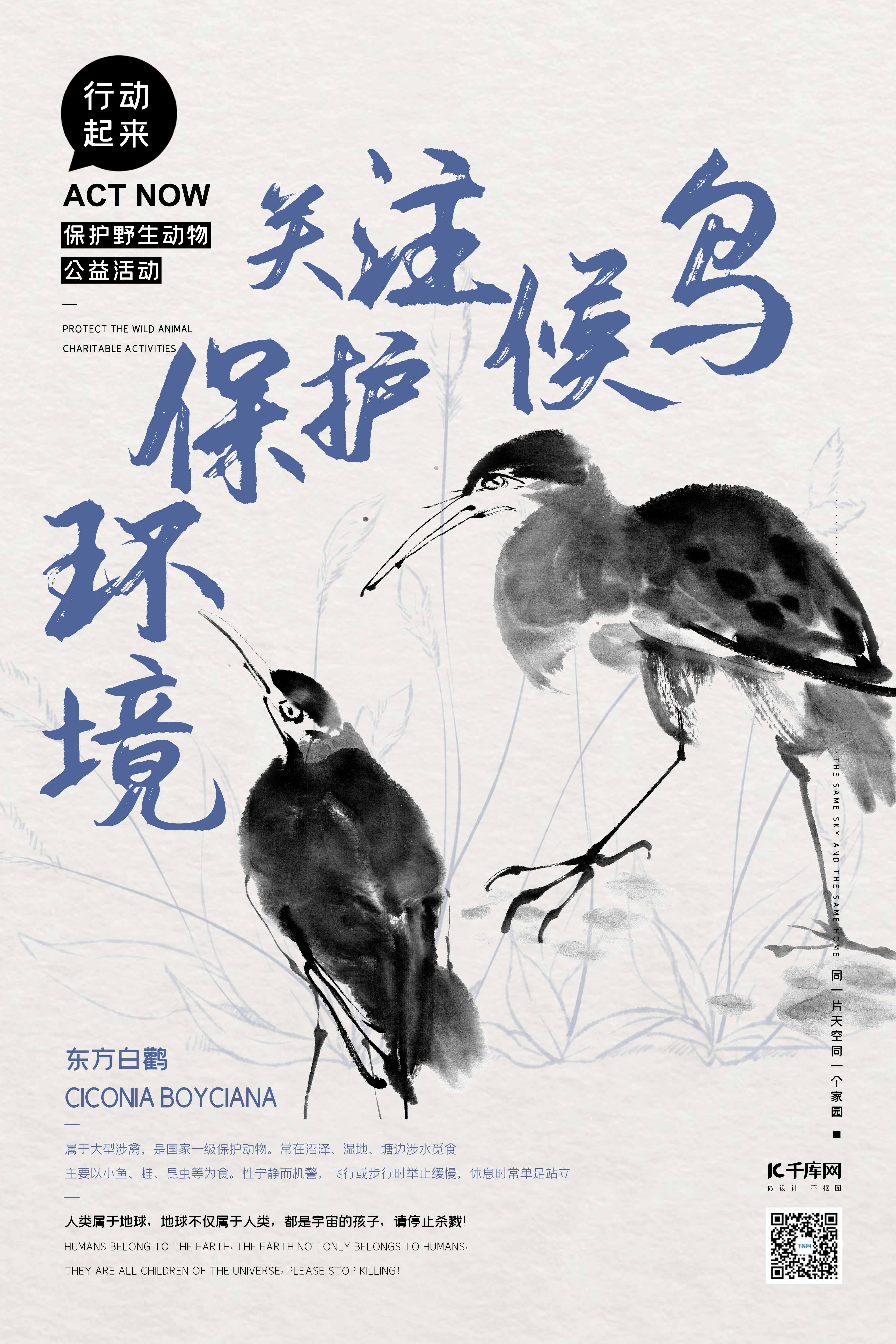 公益保护动物鸟类蓝色水墨风海报图片