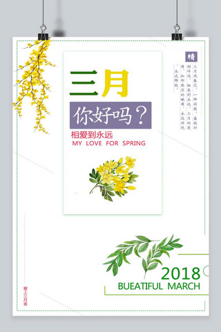 三月你好迎春花花语浪漫海报