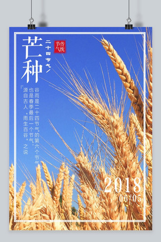 中国风二十四节气芒种传统节日农历海报