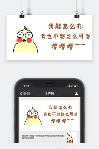 千库原创卡通鹦鹉可爱表情包公众号封面图