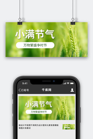 小满节气麦穗青色简约风公众号首图