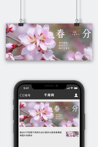 春分横图海报模板_春分桃花粉色摄影图公众号首图