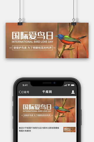 鸟类海报模板_国际爱鸟日保护鸟类彩色卡通公众号首图