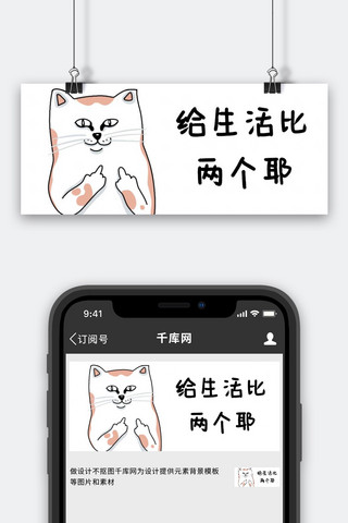 竖中指猫咪白色卡通公众号首图