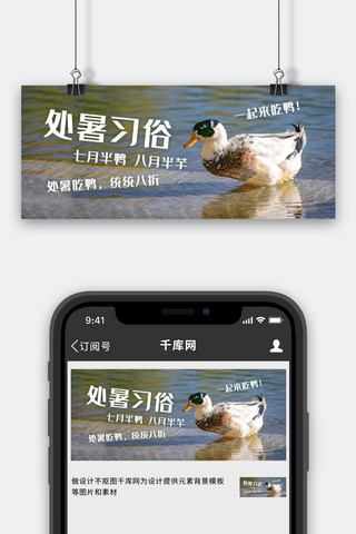 鸭子鸡鸭子海报模板_处暑习俗吃鸭子鸭子蓝色摄影风公众号首图