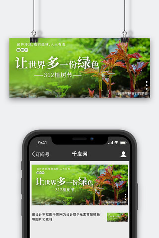 植树节树苗绿色摄影简约公众号首图