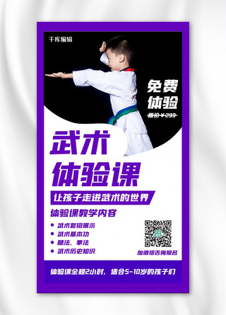 武术武术海报模板_武术武术紫色简约手机海报