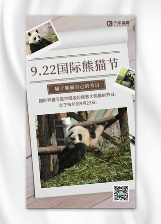 国际熊猫节摄影法国际熊猫节灰色摄影法手机海报