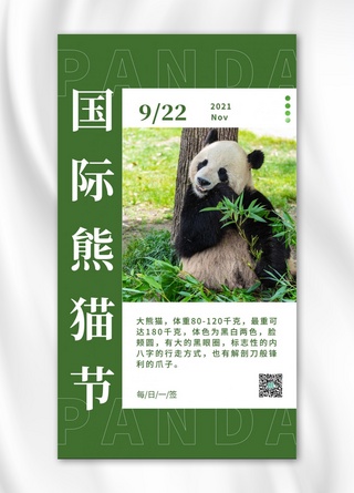 国际熊猫节熊猫绿色简约海报