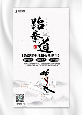 跆拳道培训跆拳道灰色中国风海报