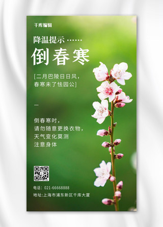 桃花摄影海报模板_倒春寒温馨提示春天桃花绿色摄影风手机海报