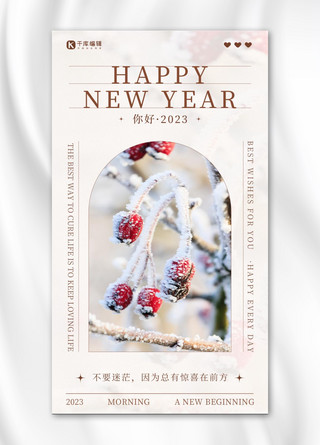 新年日签浆果雪彩色简约时尚海报